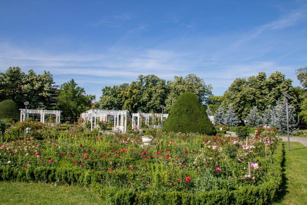 Roses Park