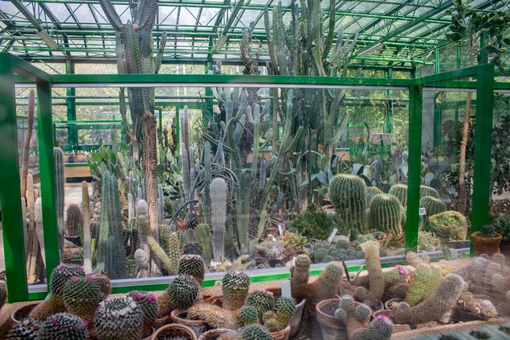 Greenhouse
