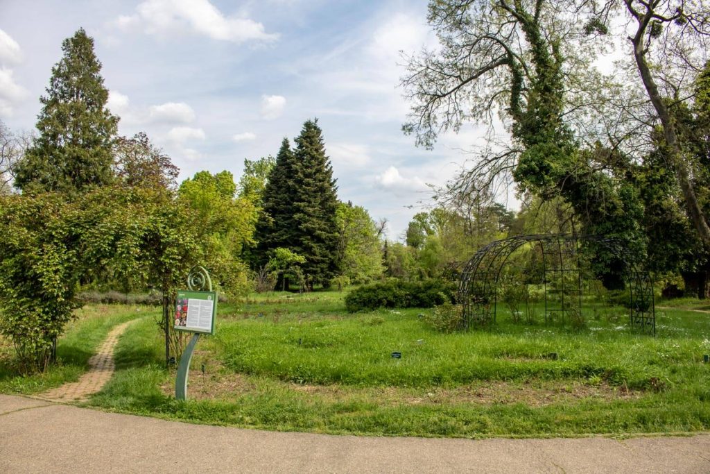 Botanical Garden Dimitrie Brandza