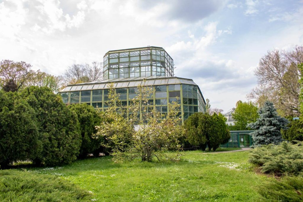 Greenhouse