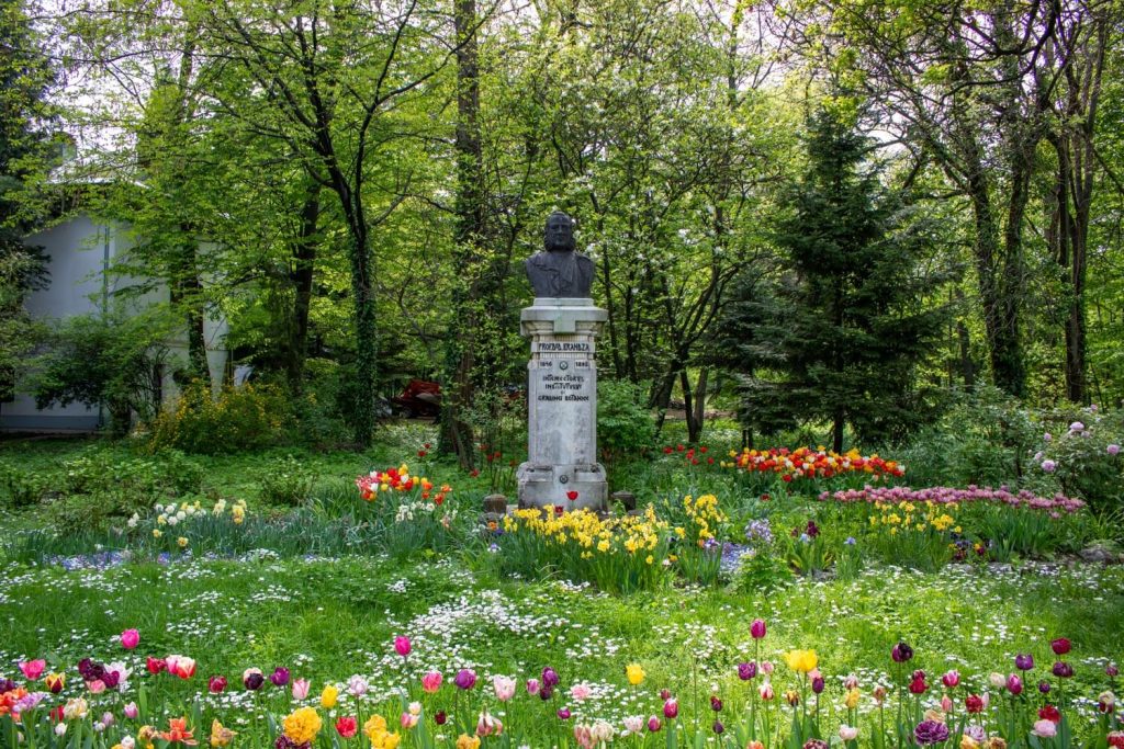 Buste of founder Dimitrie Brandza