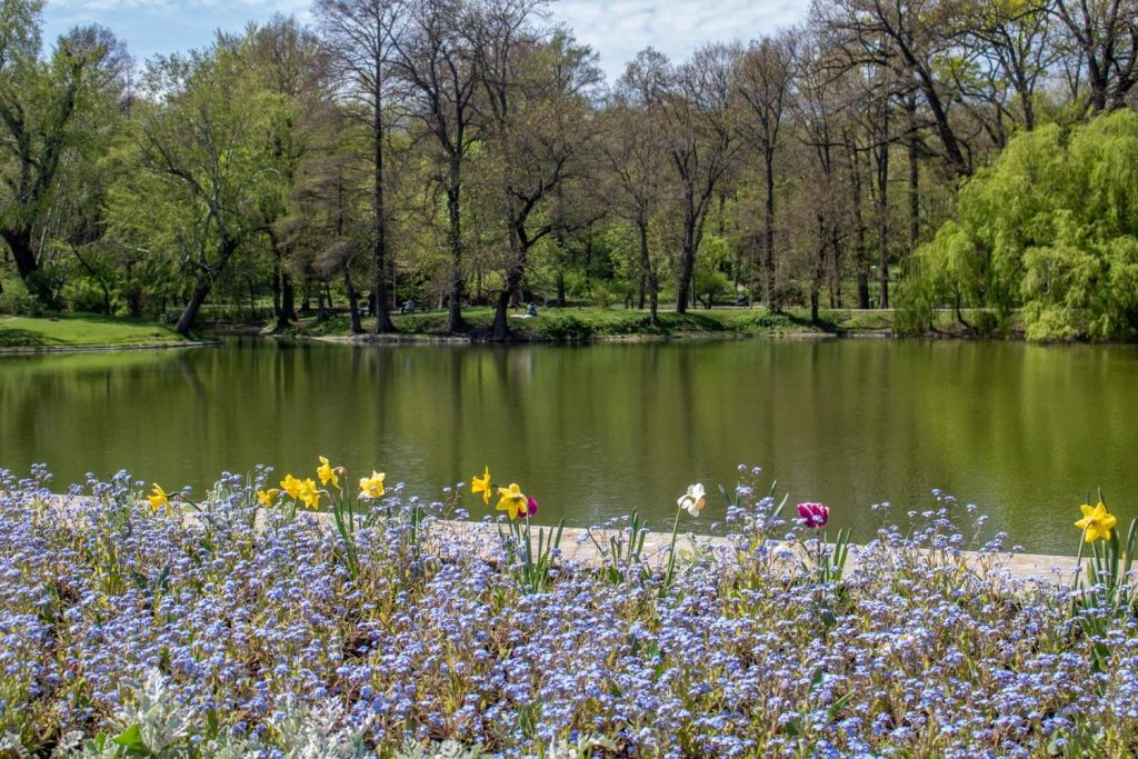 Carol I Lake