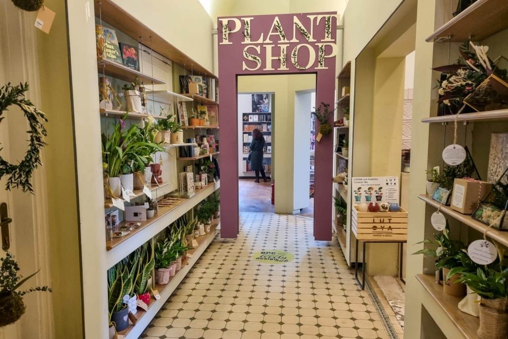 Plants section at Cărturești Verona
