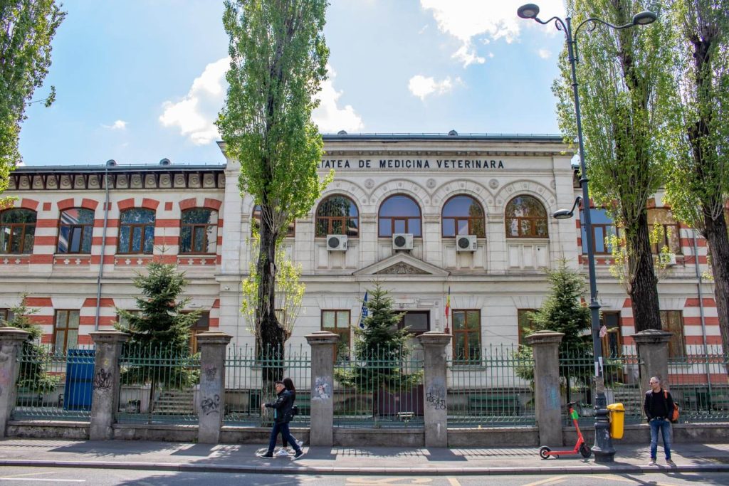 Faculty of Veterinary Medicine