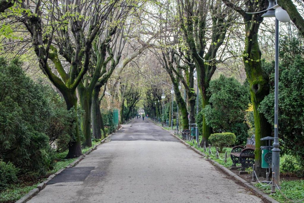 Cișmigiu Garden