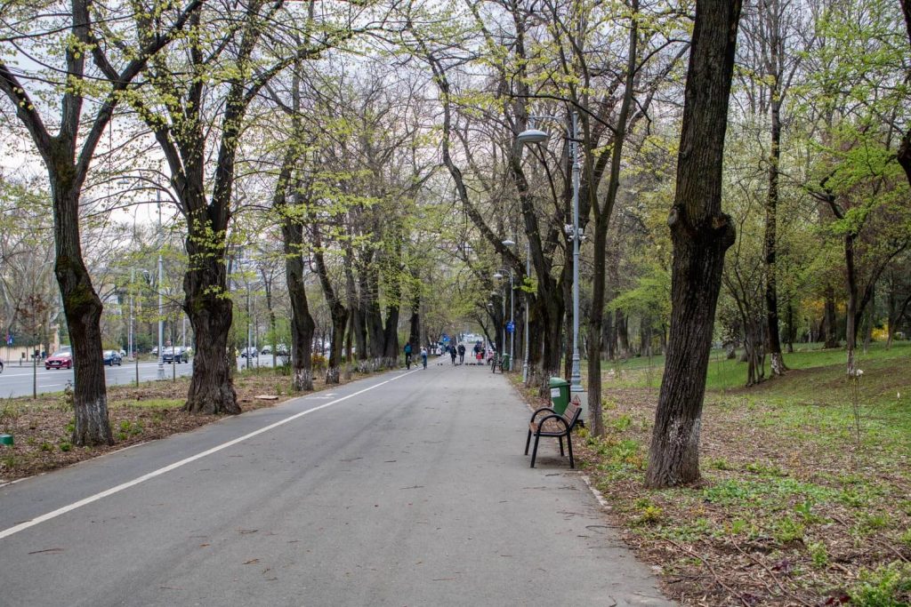Kiseleff Park