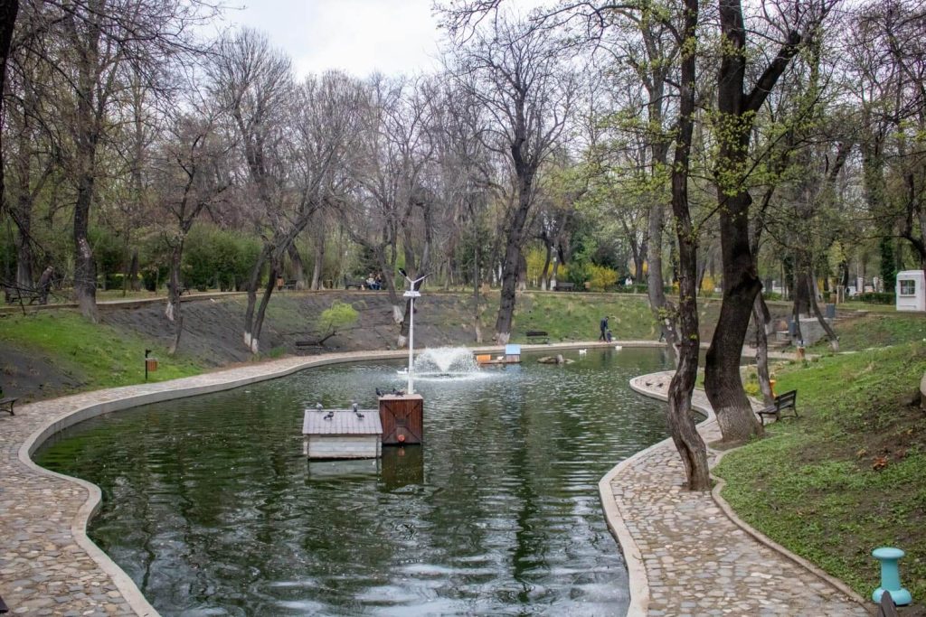 Kiseleff Park Lake