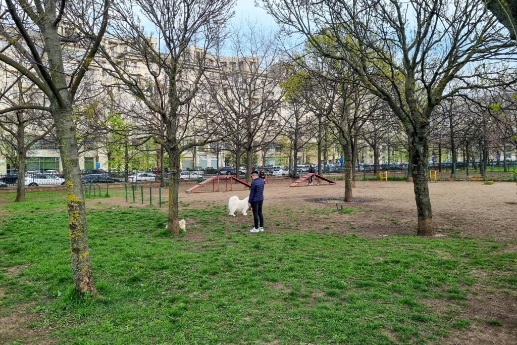 Dog park