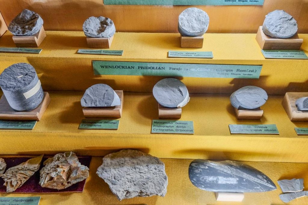 Collection of rocks