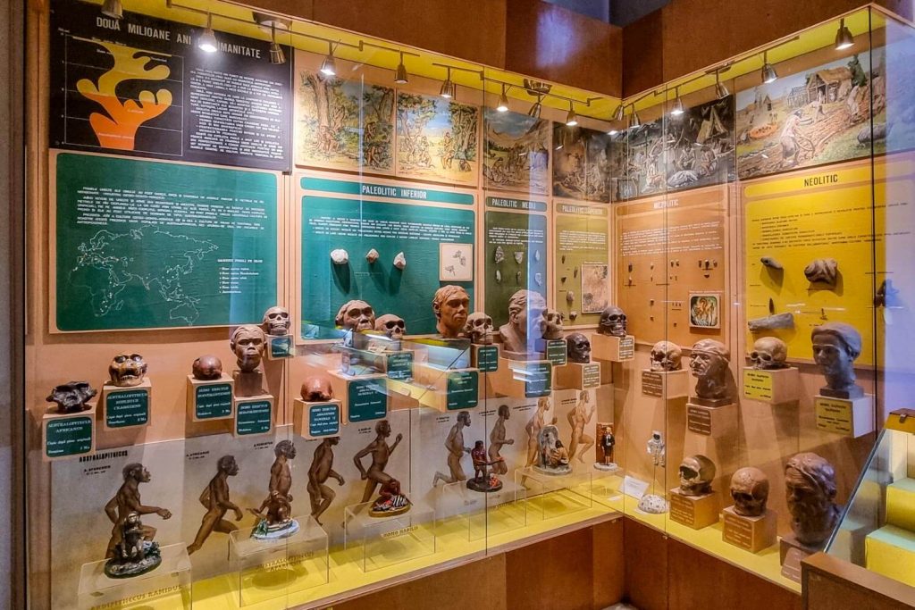 Section about humans