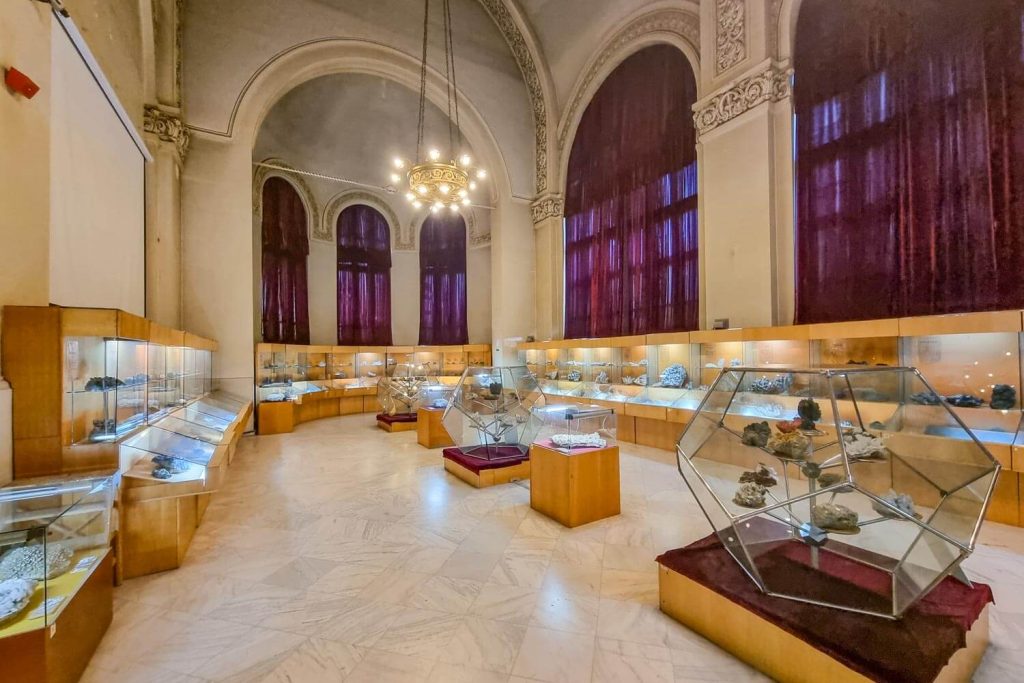 The collection of the National Geology Museum