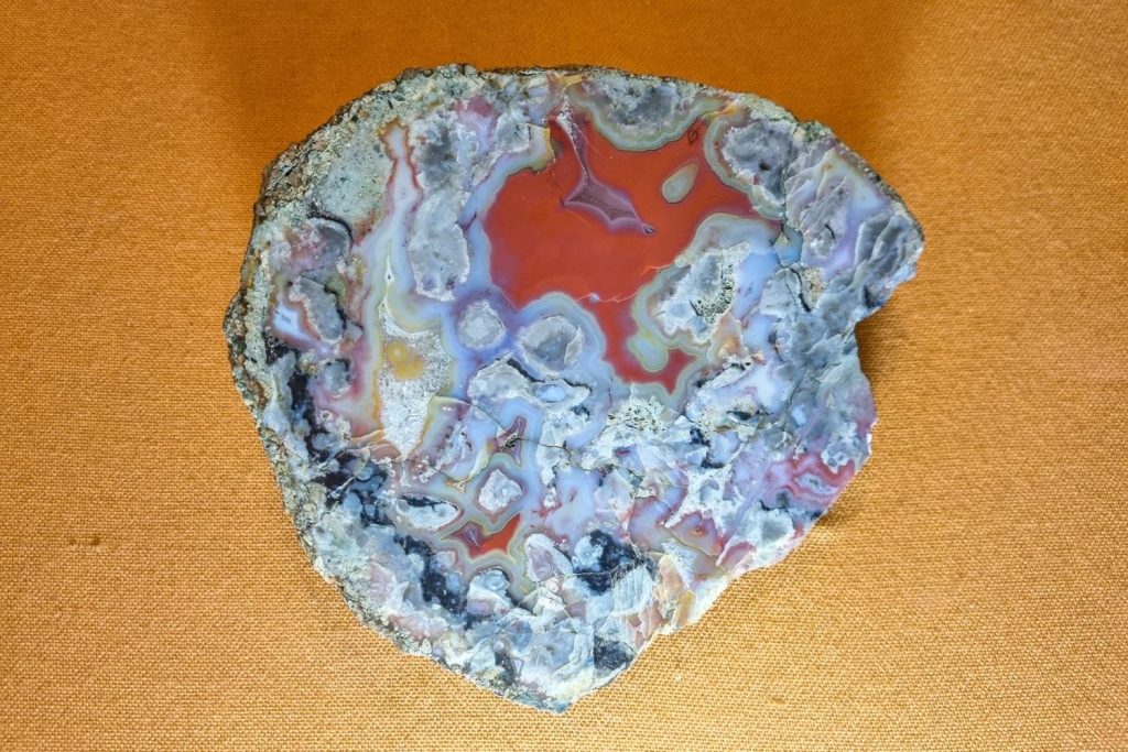 The collection of the National Geology Museum