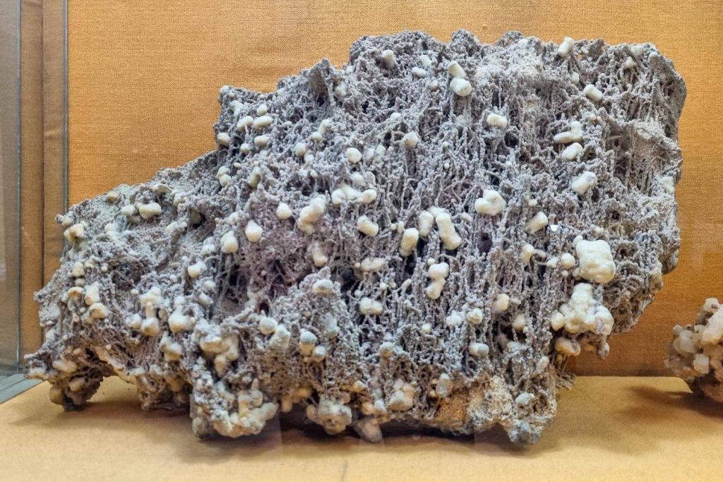 The collection of the National Geology Museum