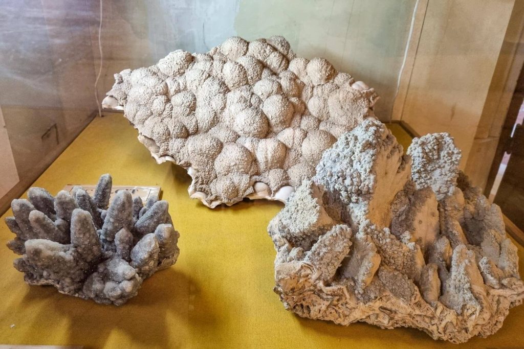 The collection of the National Geology Museum