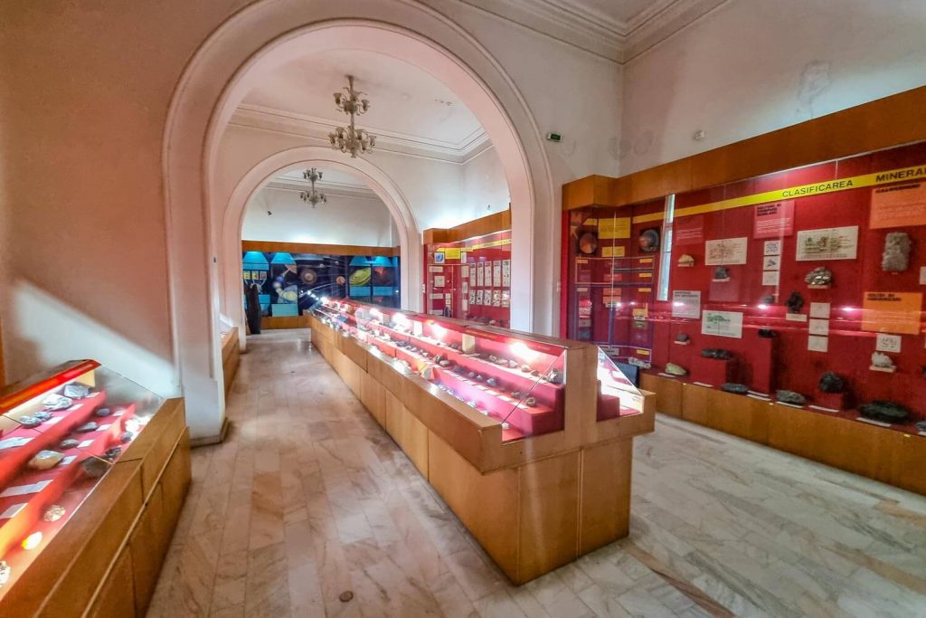 Minerals section