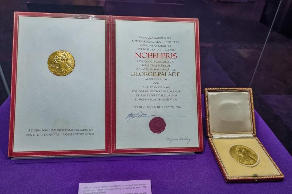 Historical Treasure