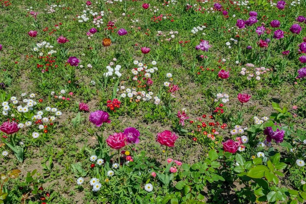 Bazilescu Park