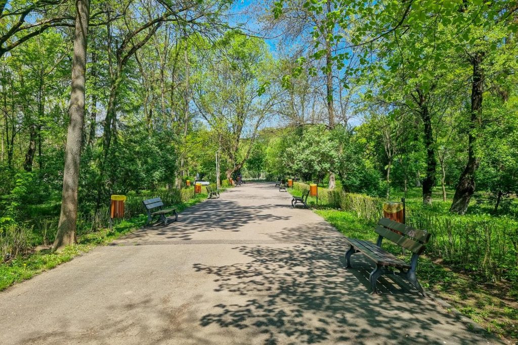 Bazilescu Park