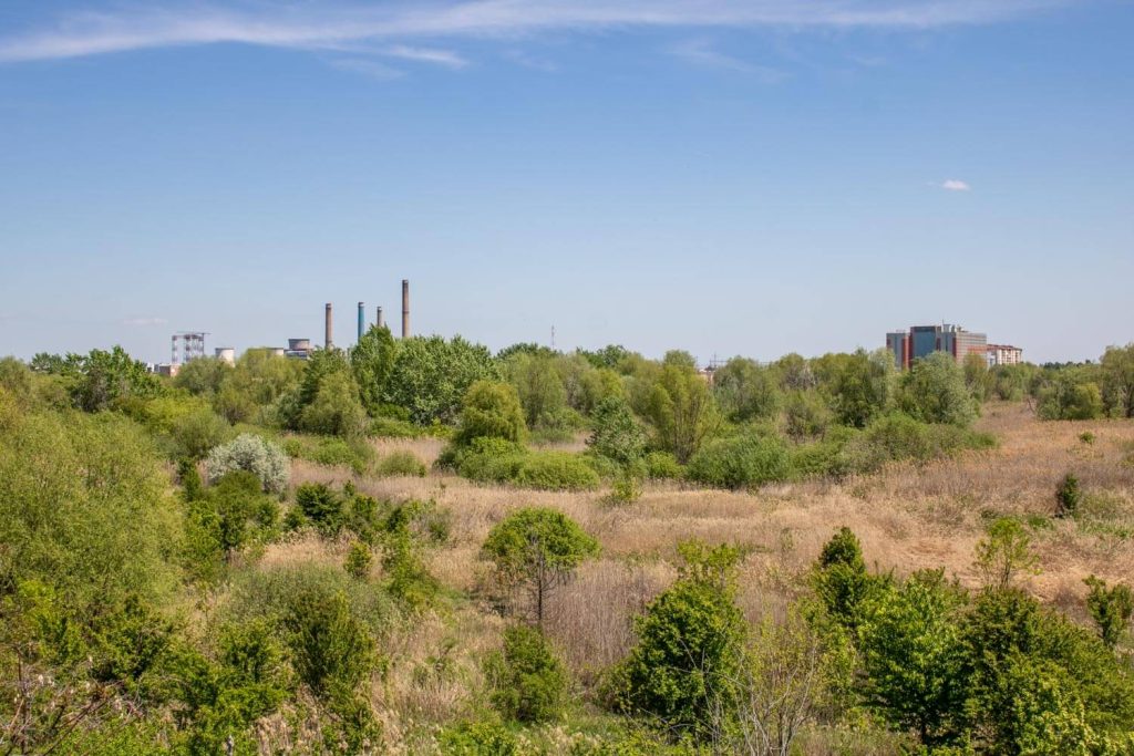 Văcărești Park Nature Reserve
