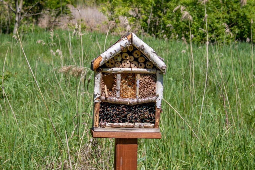 Văcărești Park Nature Reserve