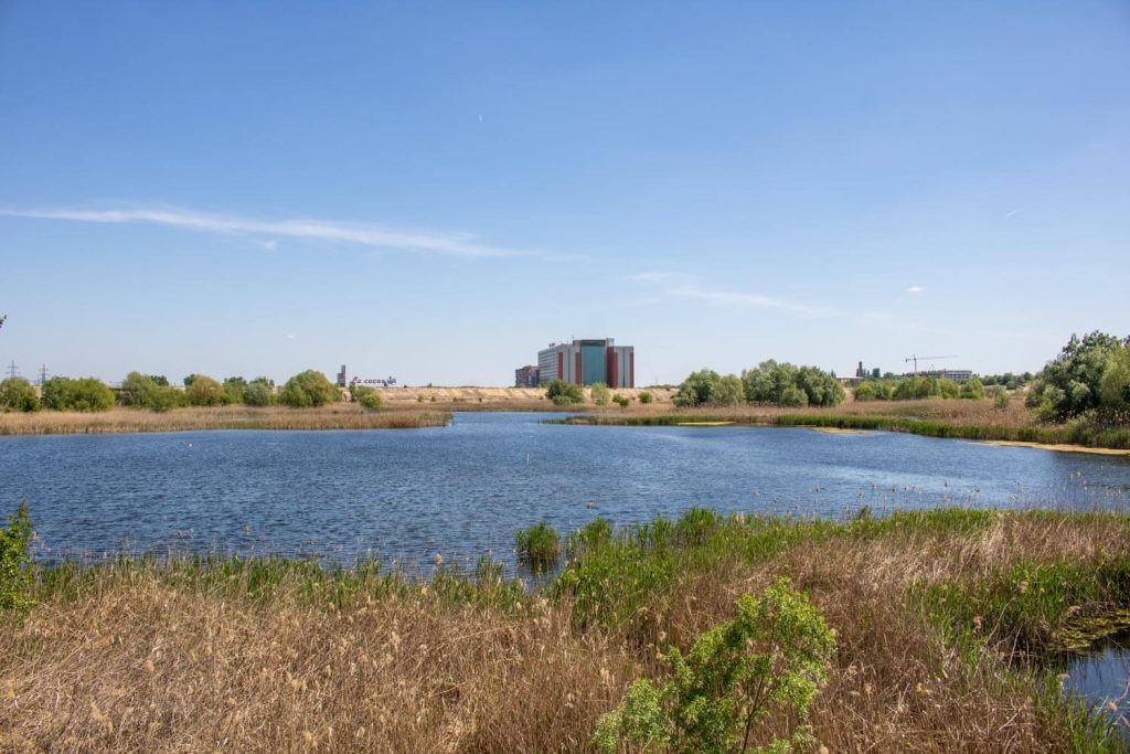 Văcărești Park Nature Reserve