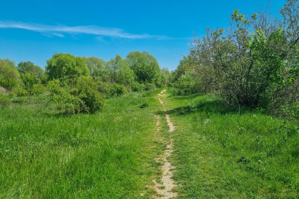 Walking path