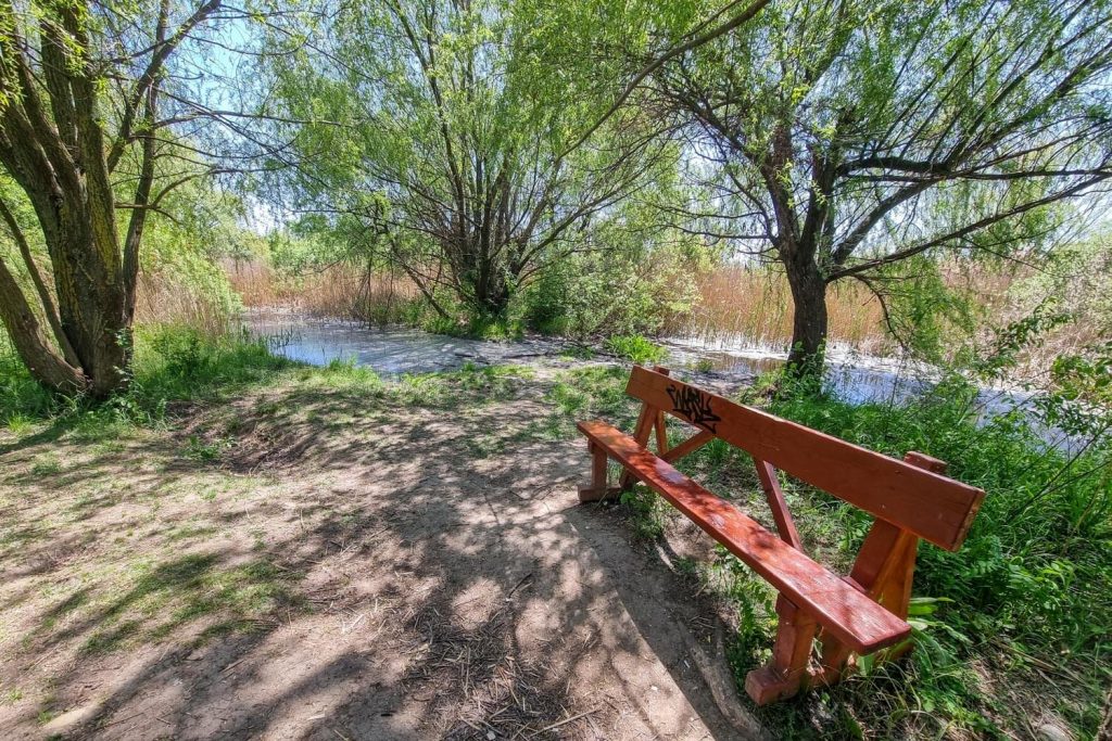 Văcărești Park Nature Reserve