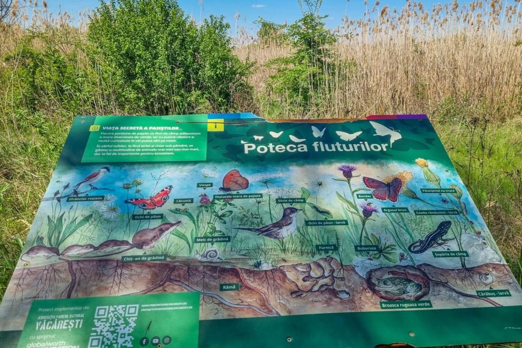 Information panel