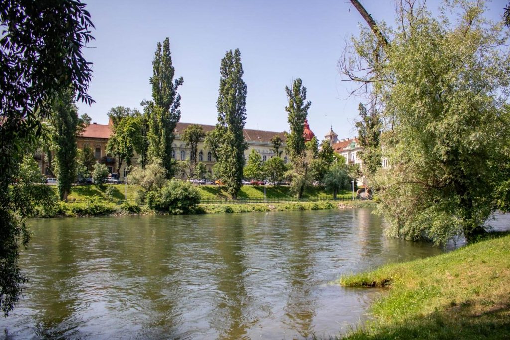 Faculty Of Medicine