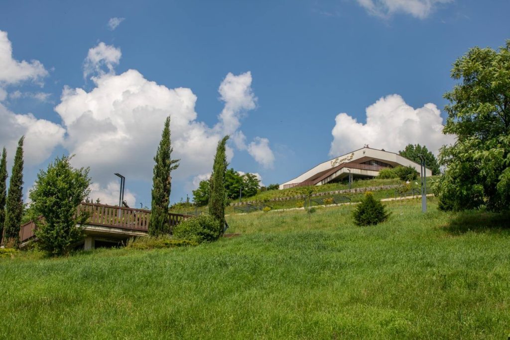 Mushroom Hill