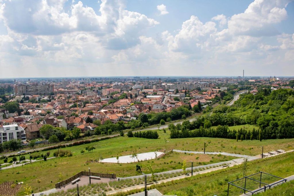 View from Mushroom Hill