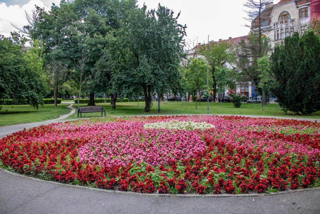 December 1st Park