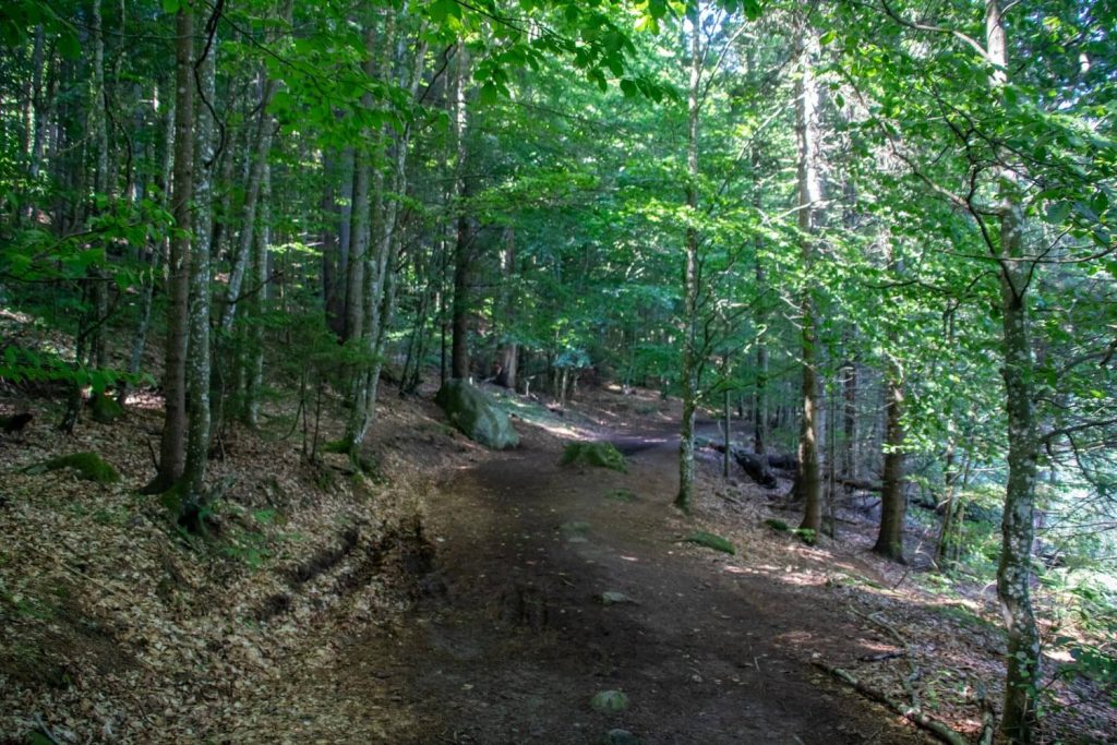 Lake Saint Ann