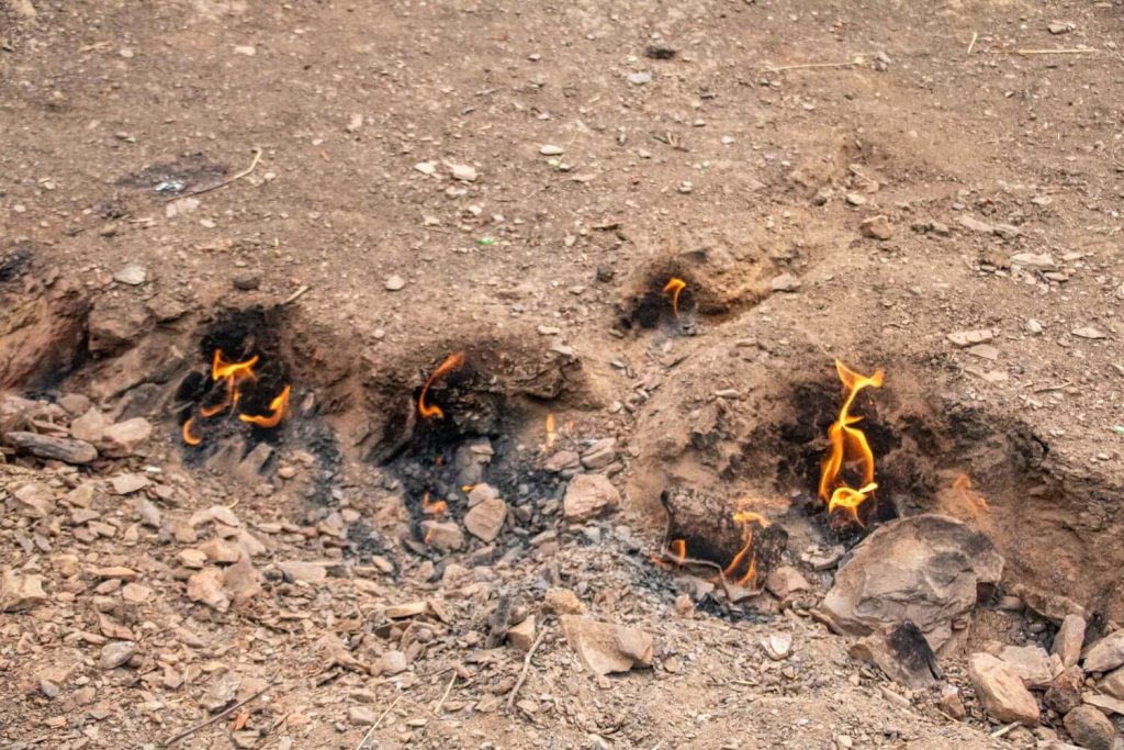 Living Fires Of Lopătari