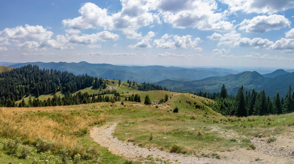 Belvedere Transbucegi