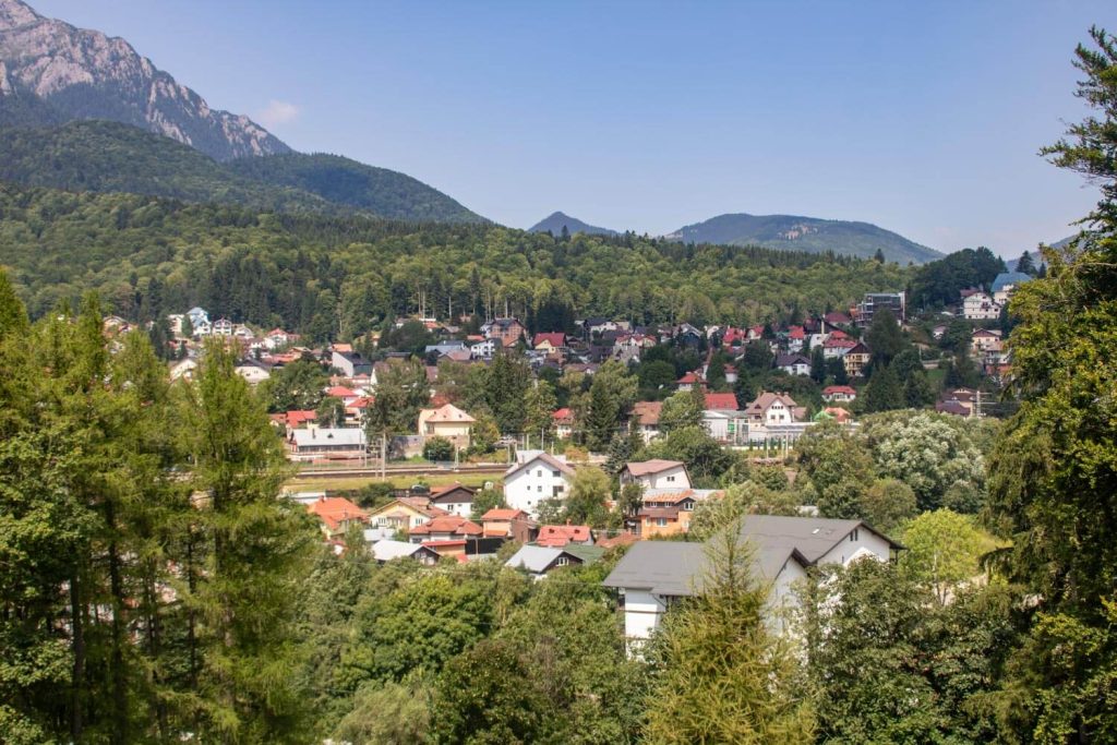 Bușteni Bușteni