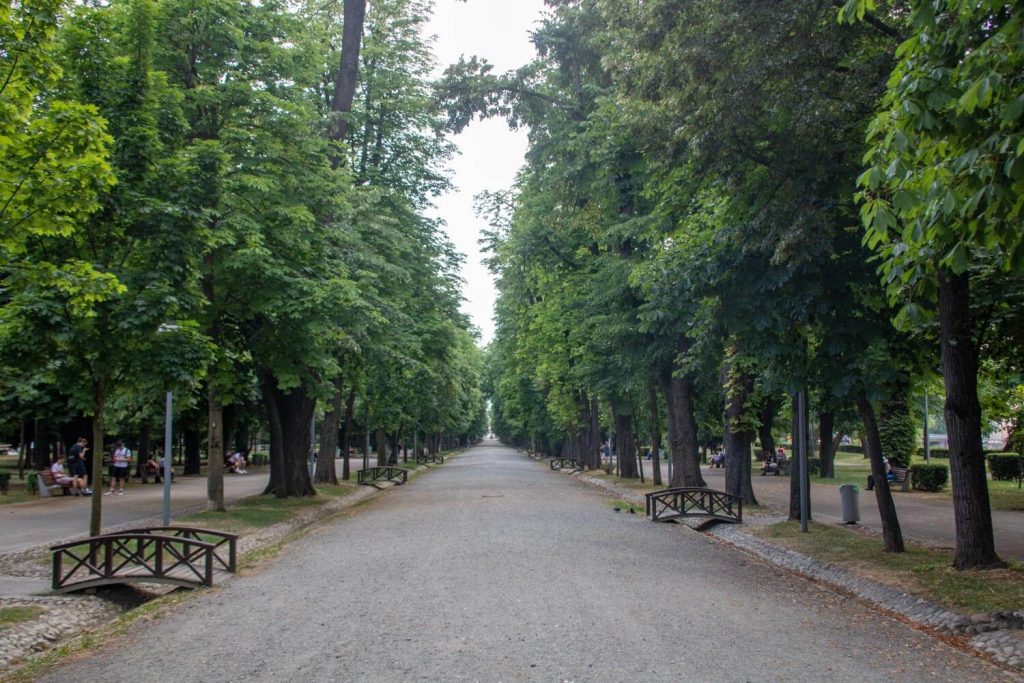 central park cluj napoca 1 1024x683
