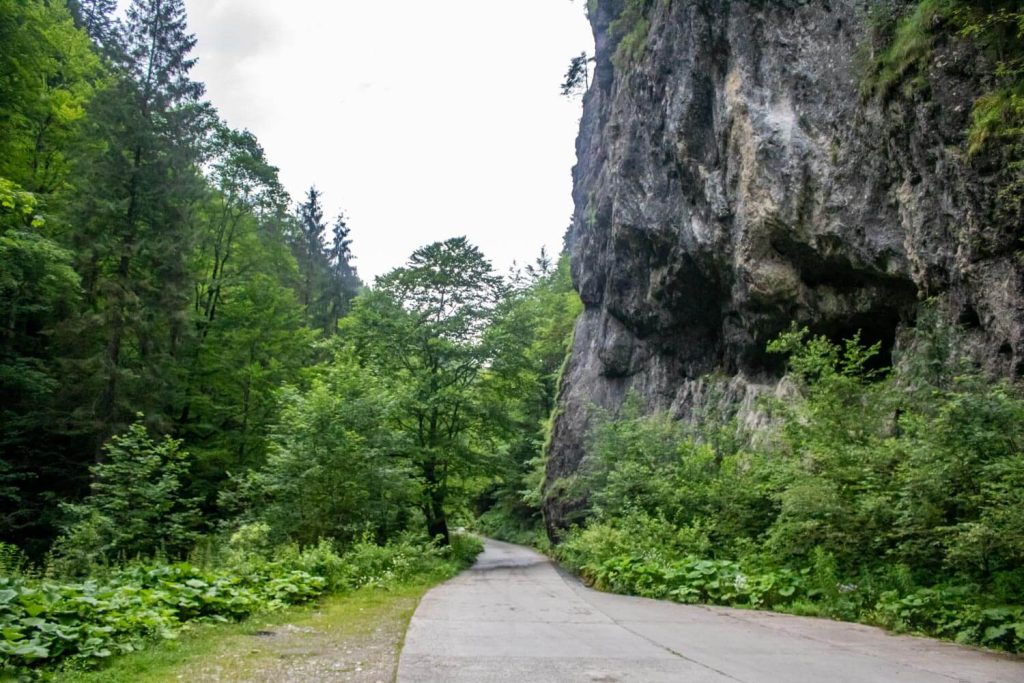Ordâncușa Gorges Ordâncușa Gorges