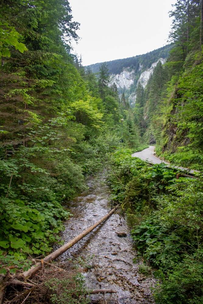 Ordâncușa Gorges Ordâncușa Gorges