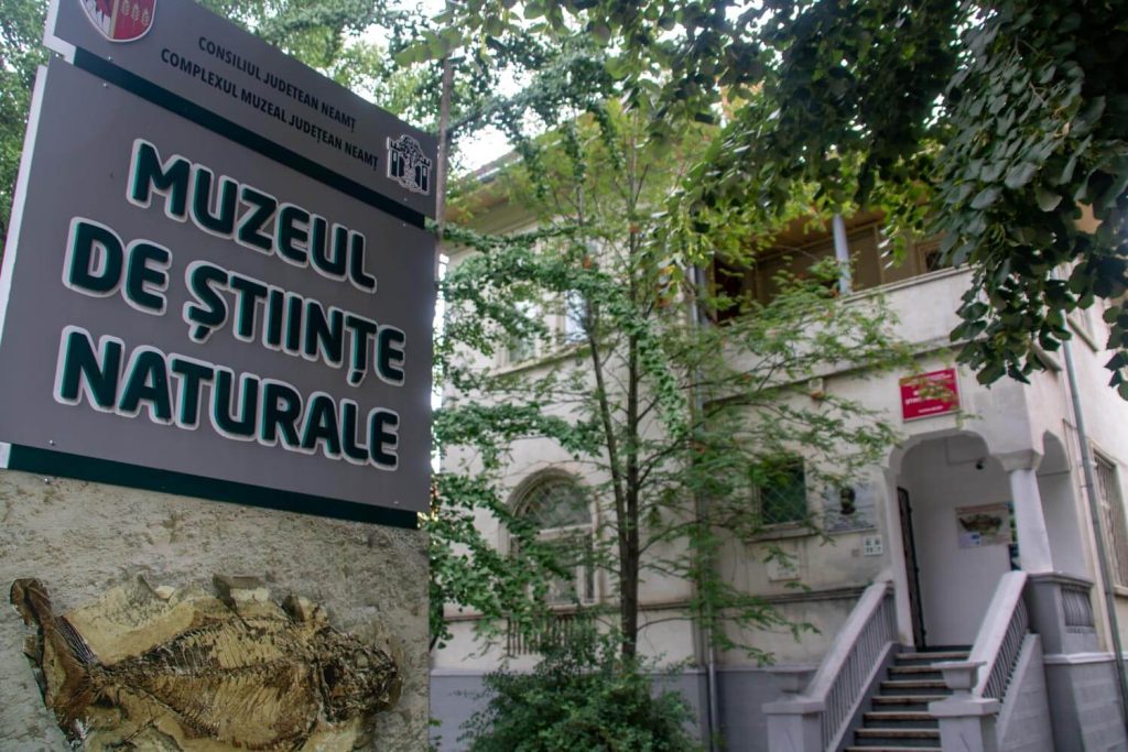 Piatra Neamț Museum Of Natural Sciences