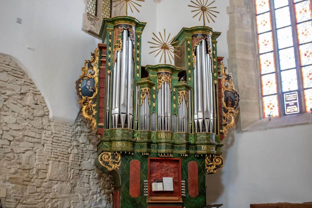 Organ Organ