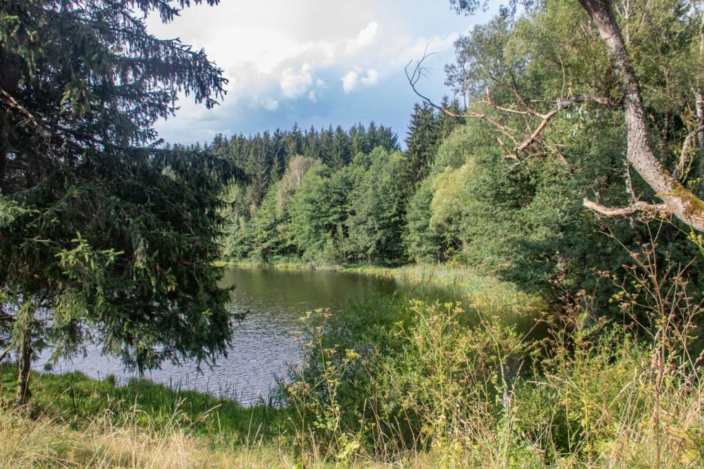 Three Waters Lake