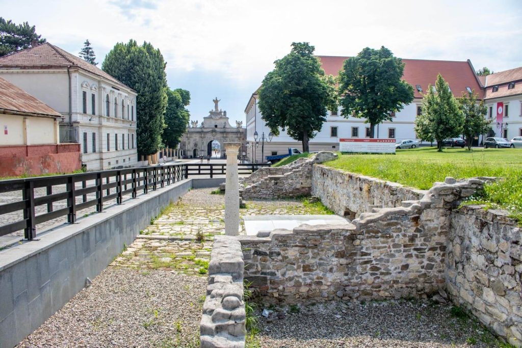 Via Principalis