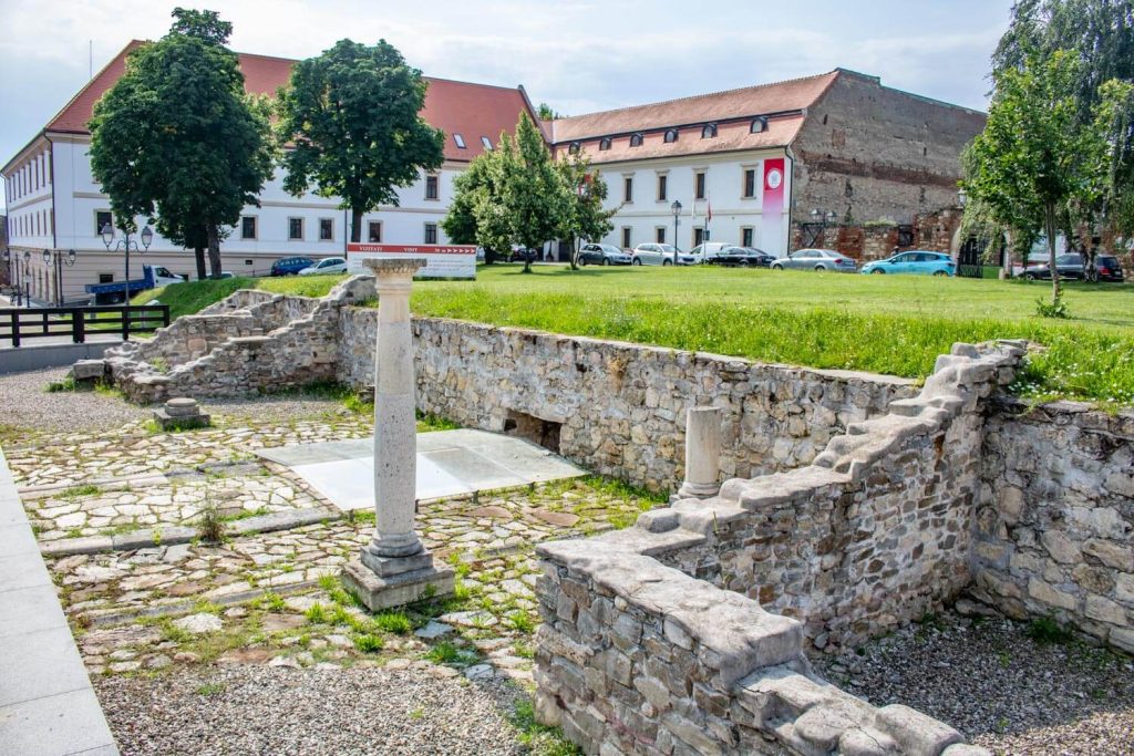 Via Principalis