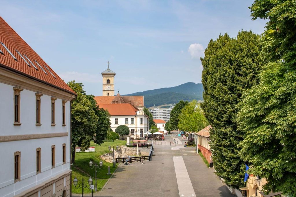 Via Principalis