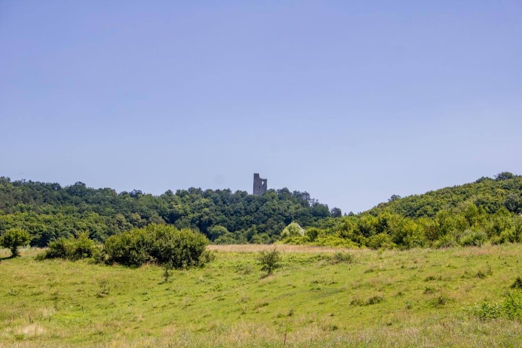 Almaș Fortress