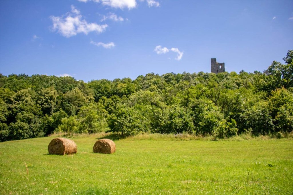 Almaș Fortress