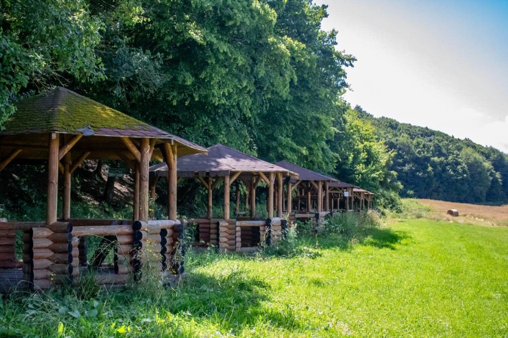 Picknick area near Almaș Fortress