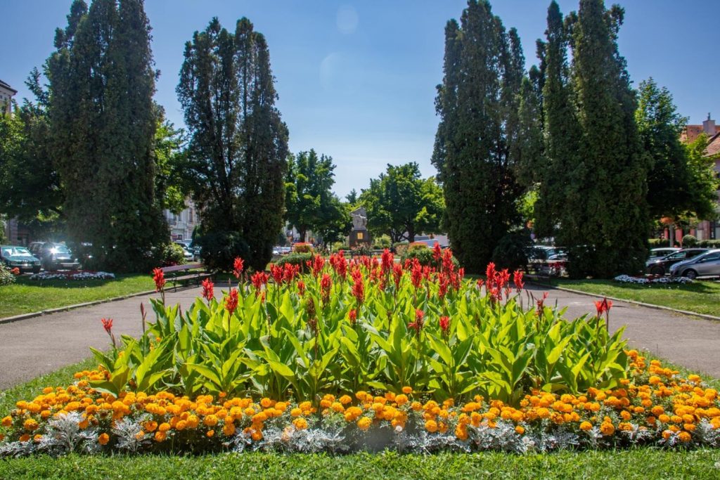 aron gabor park targu secuiesc 5 1024x683