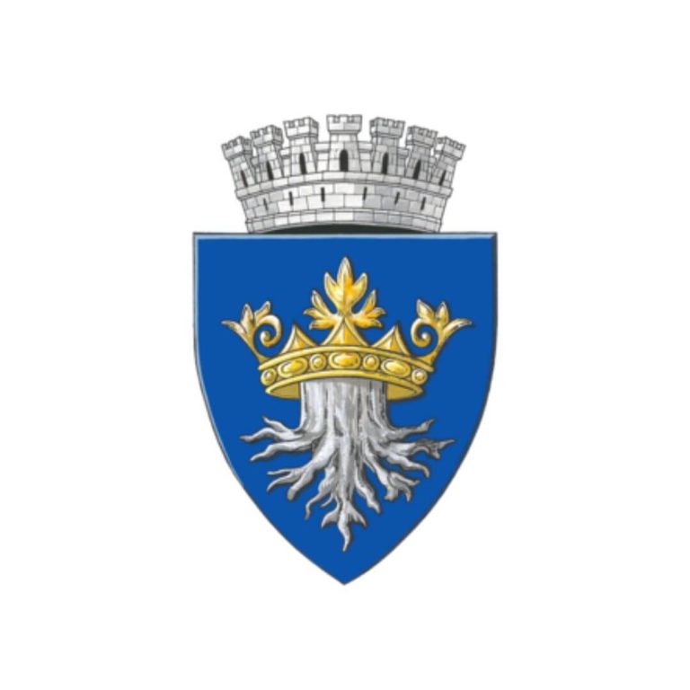 Emblem of Brașov Emblem of Brașov